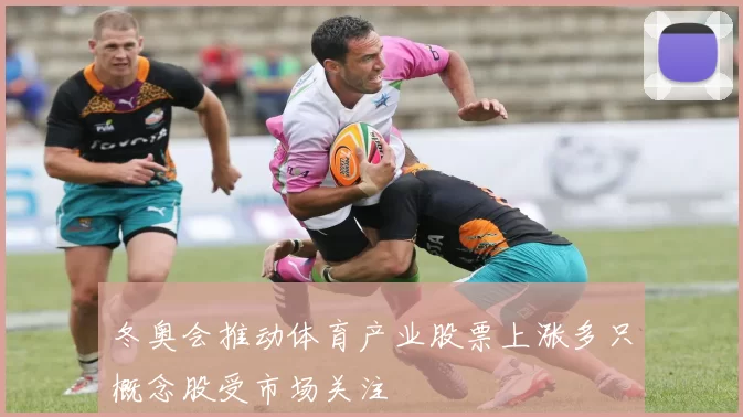 冬奥会推动体育产业股票上涨多只概念股受市场关注