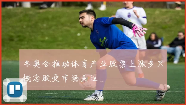 冬奥会推动体育产业股票上涨多只概念股受市场关注